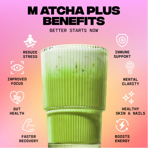 Matcha+ Starter Kit (30 Servings) - Classic Pack